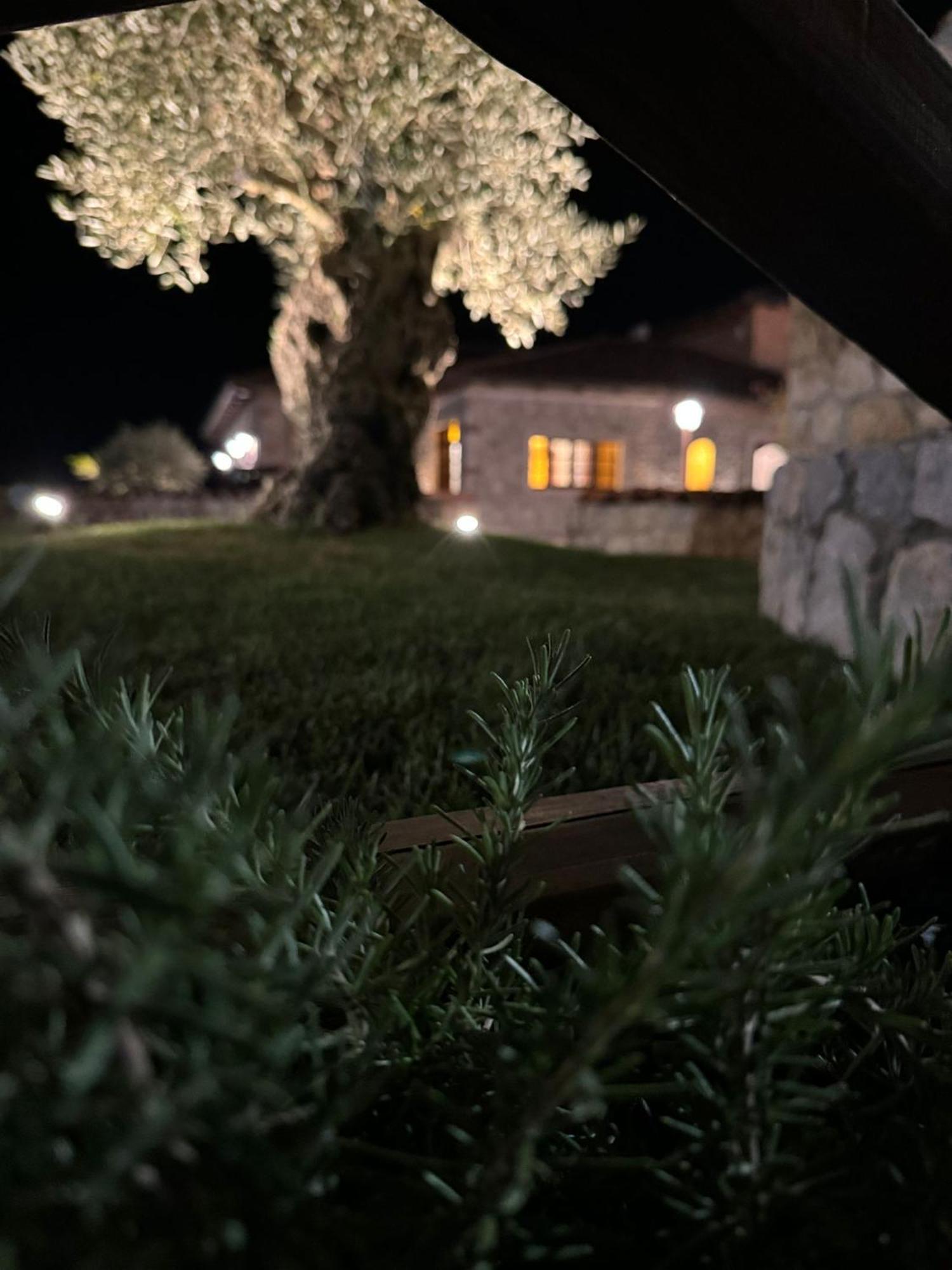 Tenuta Rosa - Gastronomia E Relax Montesano Scalo Eksteriør billede